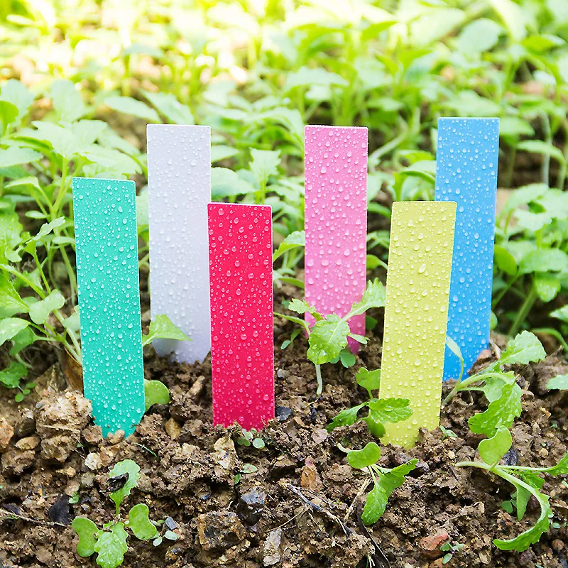 Plant Label Tags - Etiquetas de plástico reutilizables para plantas