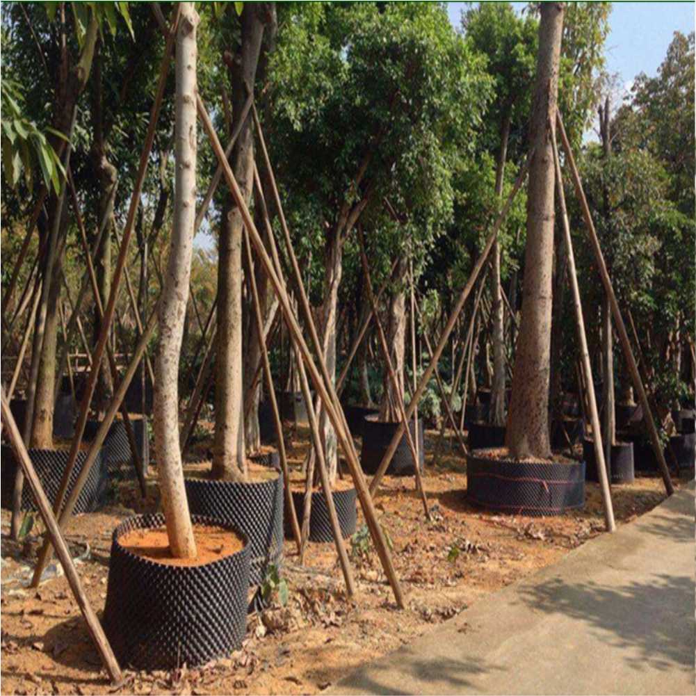 Maceta de cultivo para árboles - Gardening Tool reseña y precio