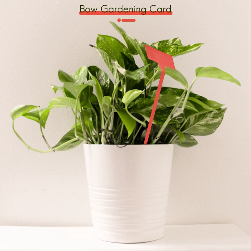 ABYP Herramientas para plantar - Plant Label Tags reseña y precio