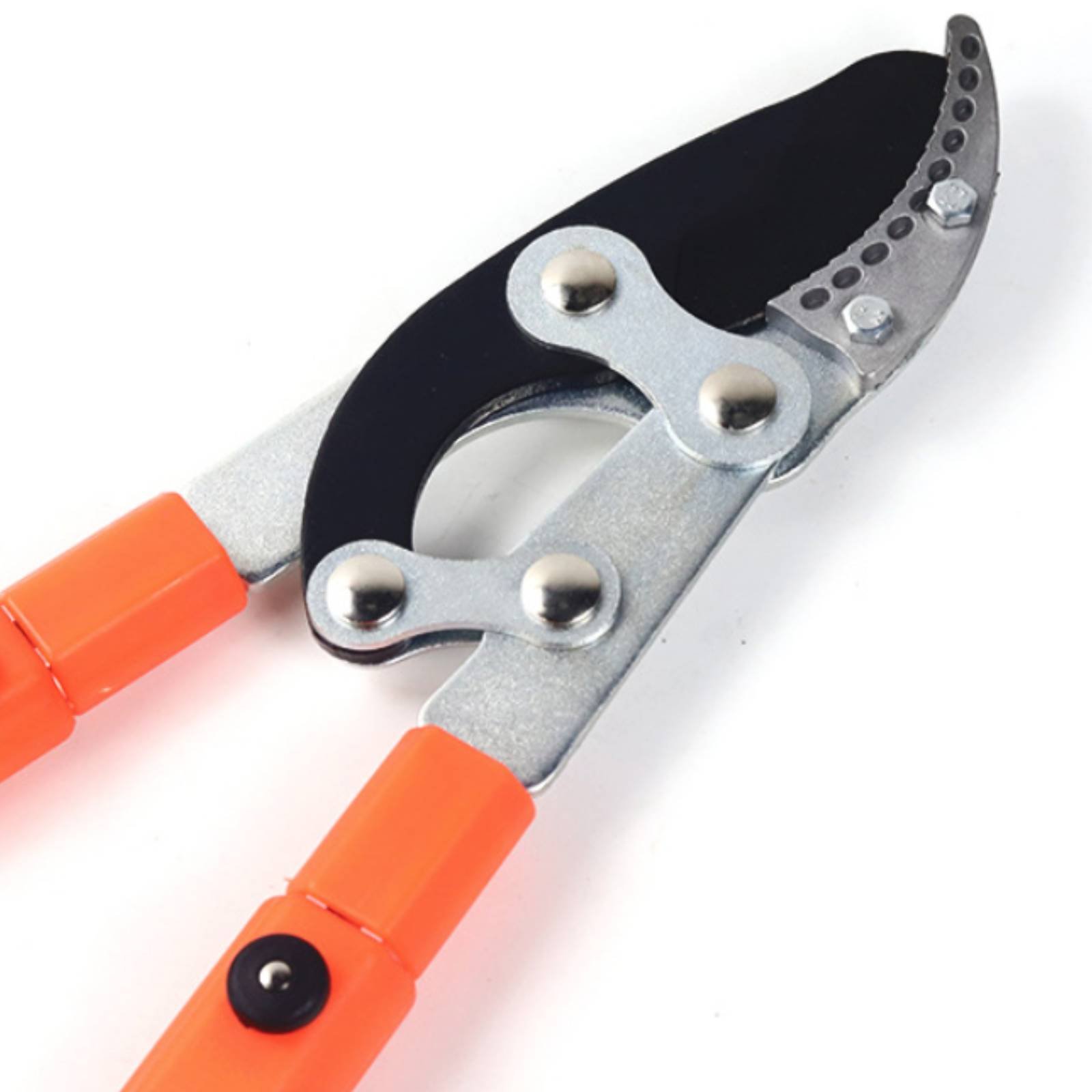 Podadoras telescópicas para ra - Gardening Tool reseña y precio