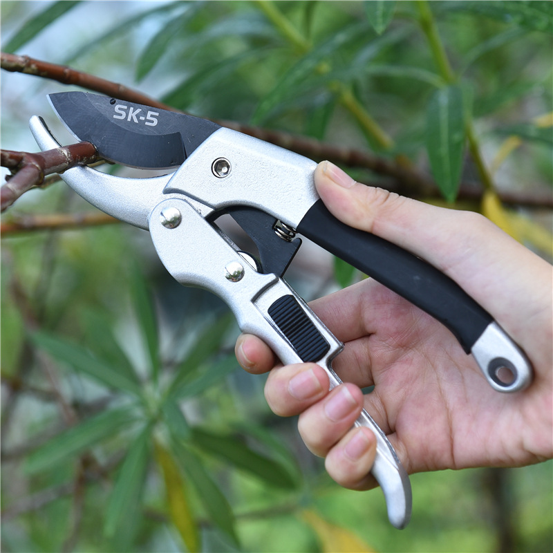 Nuevo 20cm trinquete planta re - Gardening Tools For Women reseña y precio
