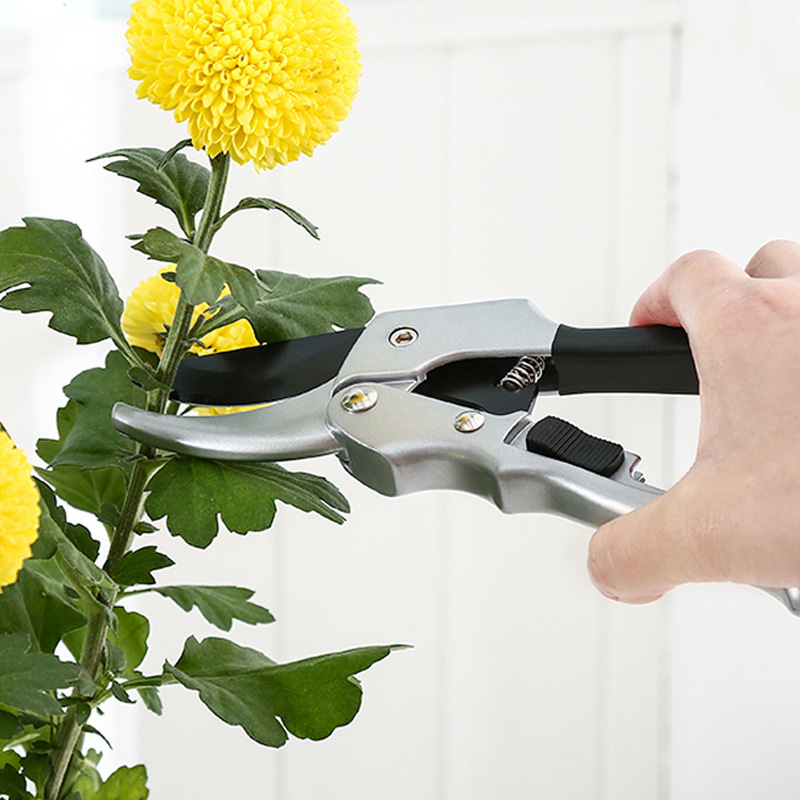 Nuevo 20cm trinquete planta re - Gardening Tools For Women reseña y precio