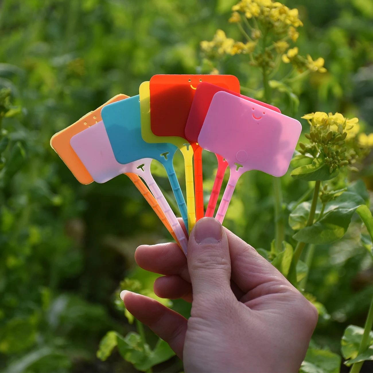 50 Uds. Etiquetas impermeables - Gardening Tool Diy reseña y precio